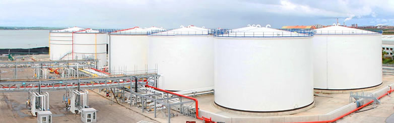  LLC Baza is experienced in providing efficient storage systems for customers in Russia and other ports. We store vital products with care. With over 36 years of history and a focus on sustainability, we ensure safe, clean and efficient storage and handling of bulk liquid products and gases for our customers. By doing so, we enable the delivery of products that are vital to our economic growth and daily lives, ranging from chemicals, oils, gases and LNG to biofuels and vegoils. 

 LLC Baza's determination to develop key infrastructure for the world's changing energy systems is unmatched, while simultaneously investing in innovation and digitization. 

 Our tank farms are situated above the ground and some beneath, with support for successful discharges of products into heavy duty oil tankers and pipelines. LLC Baza have large industrial amenities for the storage of oil and petroleum products before these products are formally transported to the end users or other storage facilities. 

